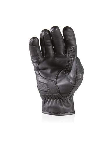 GANTS HARISSON SUNSET EVO