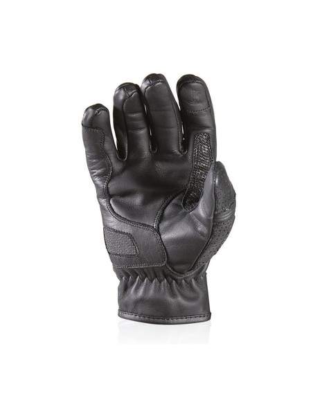 GANTS HARISSON SUNSET EVO