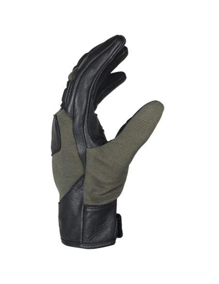 GANTS MARSHALL HARISSON