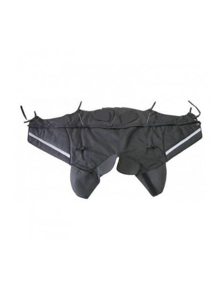 Tablier Bagster Winzip | Honda Forza 750| A partir 2021