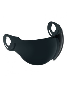 Visiere Roof R09 Boxxer Fumé Foncé