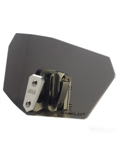 Spoiler Givi Universelle