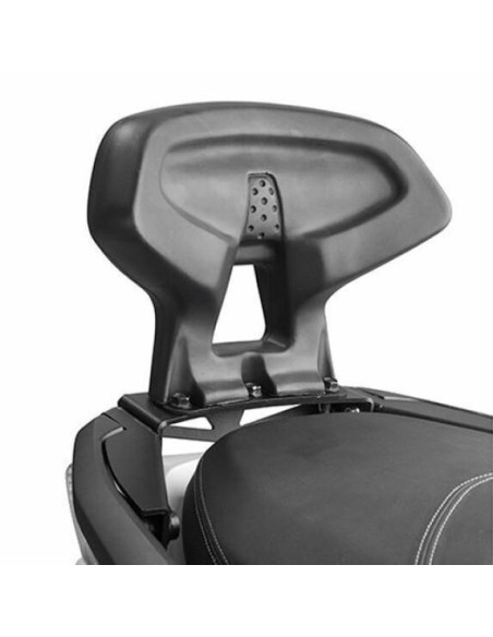 Dosseret Nmax 125 à partir de 2015