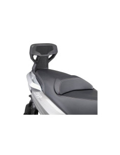 Dosseret Piaggio MP3 | de 2011 à 2022